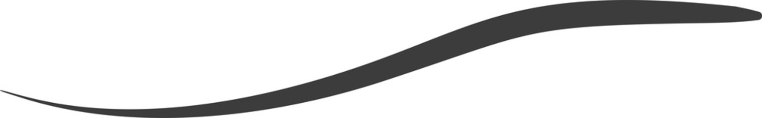 Swashes swoops and swishes calligraphy sign. Underlines hand drawn stroke.