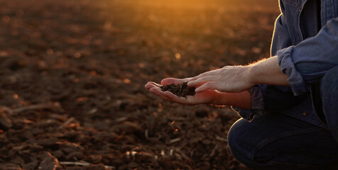 Male farmer's hand holds a handful of dry ground and checks soil fertility and quality before sowing crops on plowed field at sunset. Cultivated land. Concept of organic agriculture and agribusiness.