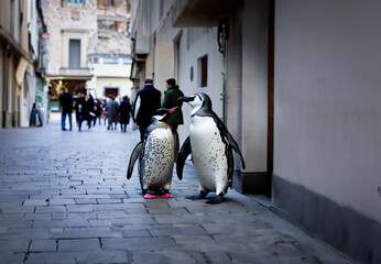 Penguins in the old town of Zurich