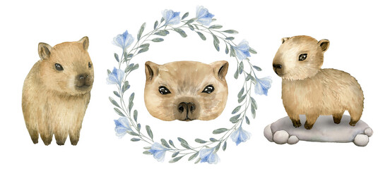 Hand Drawn Watercolor Cute Animal Baby Capybaras Set