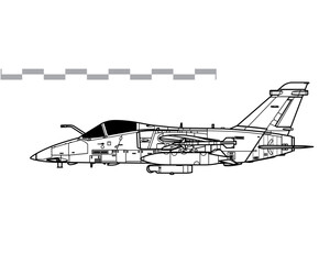 AMX International A-11 Ghibli. Vector drawing of light ground attack aicraft. Side view. Image for illustration and infographics. 