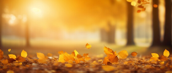 Naklejka na ściany i meble autumn leaves in the woods