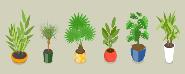 3D Isometric Flat Vector Set of Houseplants, Different Indoor Plants