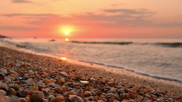 Sunset on the seashore. Warm evening at sea. Lots of seashells in the foreground. Selective focus on seashells.