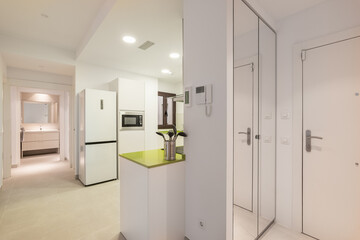 View from the corridor to the apartment divided into zones of the hallway kitchen and living room with a toilet in light minimalistic colors. The concept of a simple but thoughtful interior design
