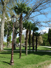 Fototapeta premium Parc Mauresque