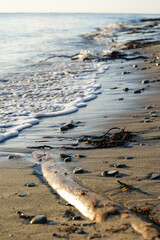 Closeup image of a beach at sunrise with seaweed, stones & logs