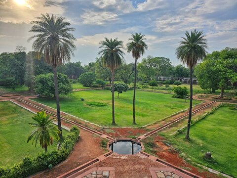 Palm trees in a beautiful park in Delhi 