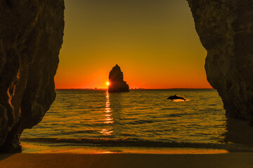 beautiful sunrise with dolphins jumping in 