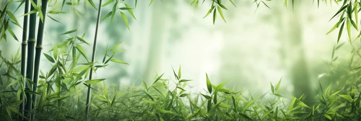 Zelfklevend Fotobehang Bamboos, green trees, bamboo, in the style of blurred imagery © olegganko