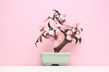 Artificial sakura bonsai tree on ceramic pot with pink background. Glass cherry blossom for home decor. Spring flower branch in scandi style interior. Hygge design. Zen, relax concept. Copy space