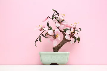Fotobehang Bonsai Artificial sakura bonsai tree on ceramic pot with pink background. Glass cherry blossom for home decor. Spring flower branch in scandi style interior. Hygge design. Zen, relax concept. Copy space  © Lidia