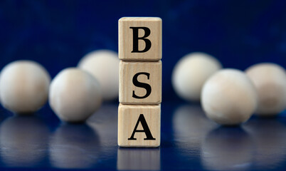 BSA - acronym on wooden cubes on a blue background with wooden balls - obrazy, fototapety, plakaty