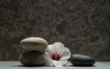 stones and plants for product presentation podium. gray zen stones and white-red hibiscus flower on a gray background