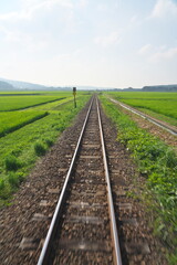 Obraz premium Akita, Japan - July 28, 2023: Single-track railway in rural zone in Akita, Japan 