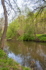 Spring Landscape of Iskar river near Pancharevo lake, Bulgaria