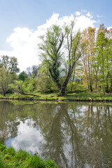 Obraz premium Spring Landscape of Iskar river near Pancharevo lake, Bulgaria