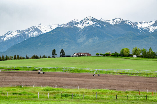 Rural Farm House in front of Wallowa Mountains on Green Rolling Hills in Countryside of Eastern Oregon