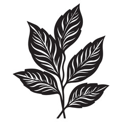 Wide leaf black and white leaf silhouette, vector leaves, editable and ready to print,