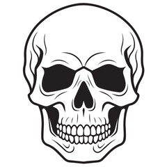 black and white skull vector, skull illustration, skull icon isolated on white background, fully editable in eps format and ready to print,