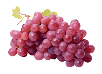 Fototapeta premium Grapes isolated on transparent background. PNG file, cut out