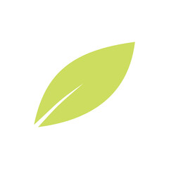 light green leaf emblem vector flat design
