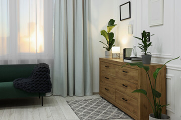 Stylish room interior with chest of drawers, sofa, decor elements and houseplants