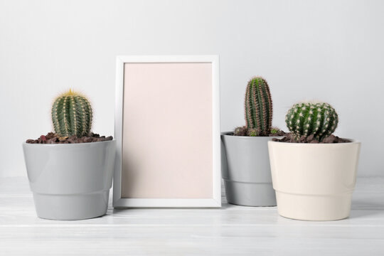 Different cacti in pots and frame on white wooden table