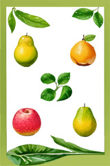 set of fruits isolated