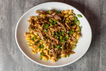 macaroni and cheese with pulled pork