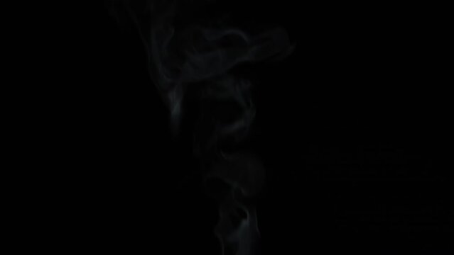 White steam on black background. Slow motion