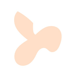 Boho Abstract Shapes 