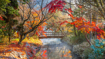 Autumn Scenery in a Park in the Famous Yufuin Resort Town