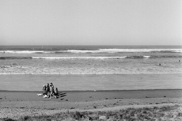 Journey along the sand