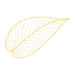 leaf line Illustration