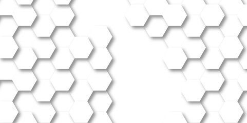 Abstract background with hexagon Background with white and black lines 3d Hexagonal structure futuristic white background and Embossed Hexagon , honeycomb white Background ,light and shadow ,Vector.