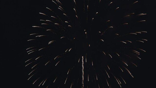 スロー映像：長岡花火 フェニックス（nagaoka fireworks phoenix）