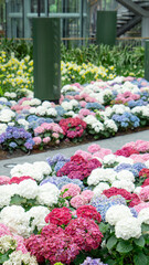 flower in the garden