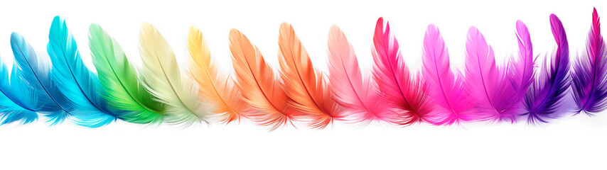 Fototapeta na wymiar Multicolor feathers on a row over isolated transparent background