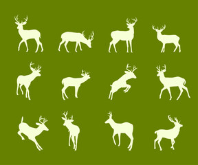 Set of deer pose vector illustration
