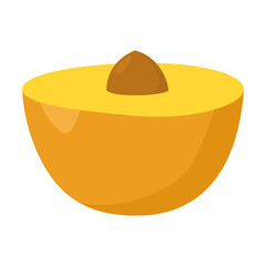Apricot cut in half vector illustration. Cartoon drawing of orange fruit with seed for cooking and healthy diet isolated on white background. Food, fruit, nutrition concept