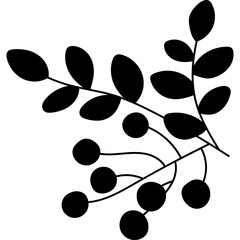 Branch Rowan Leaves Silhouette