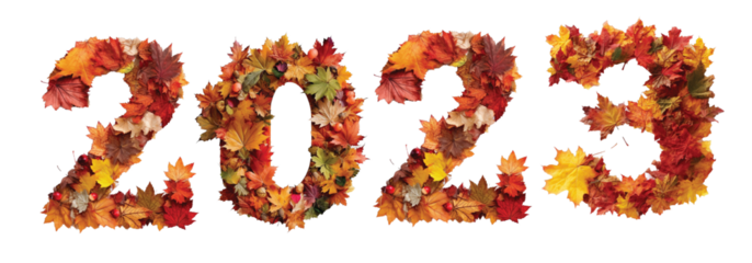 2023 year autumn leaves