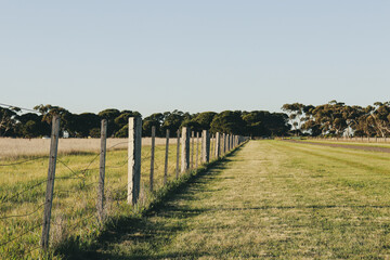fence in the field in rural australian landscape