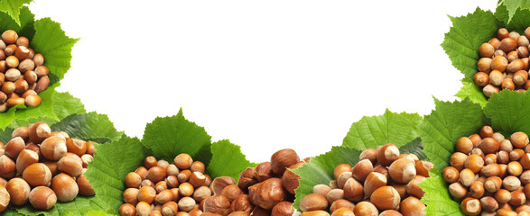 Hazelnut frame isolated 