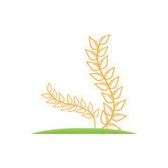 Rice Logo, Farm Wheat Logo Design, Vector Wheat Rice Icon Template Retro Vintage Illustration