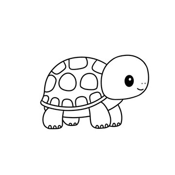 turtle coloring line