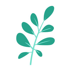 Green tree oval leaves vector. Cartoon drawing of leaves of plants, flowers isolated on white background. Nature, foliage, botany, flora, autumn or fall concept