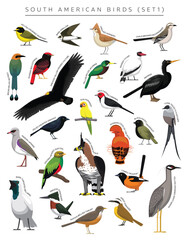 South American Birds Set Cartoon Vector Character 1
