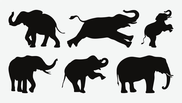 Graceful Giants: Majestic Elephant Silhouettes to Elevate Your Designs